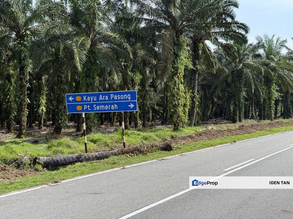 Parit Jawa @ Pontian Agricultural Land For Sale, Johor, Pontian