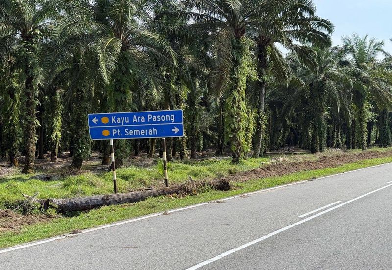 Rimba Terjun Pontian