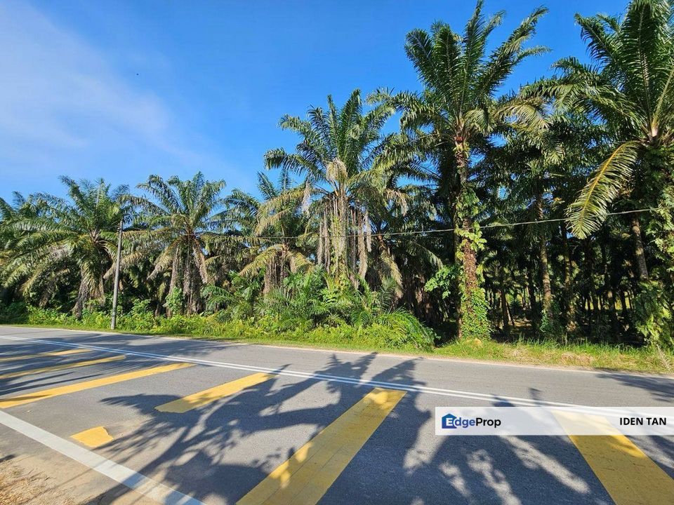 Kota Kecil Kota Tinggi Agricultural Land For Sale Near  Mawai, Sedeli, Taman Bendahara, Taman Hidayat, Kota Jaya, Kota Mas, Taman Laksamana,Kota Besar, Johor, Kota Tinggi