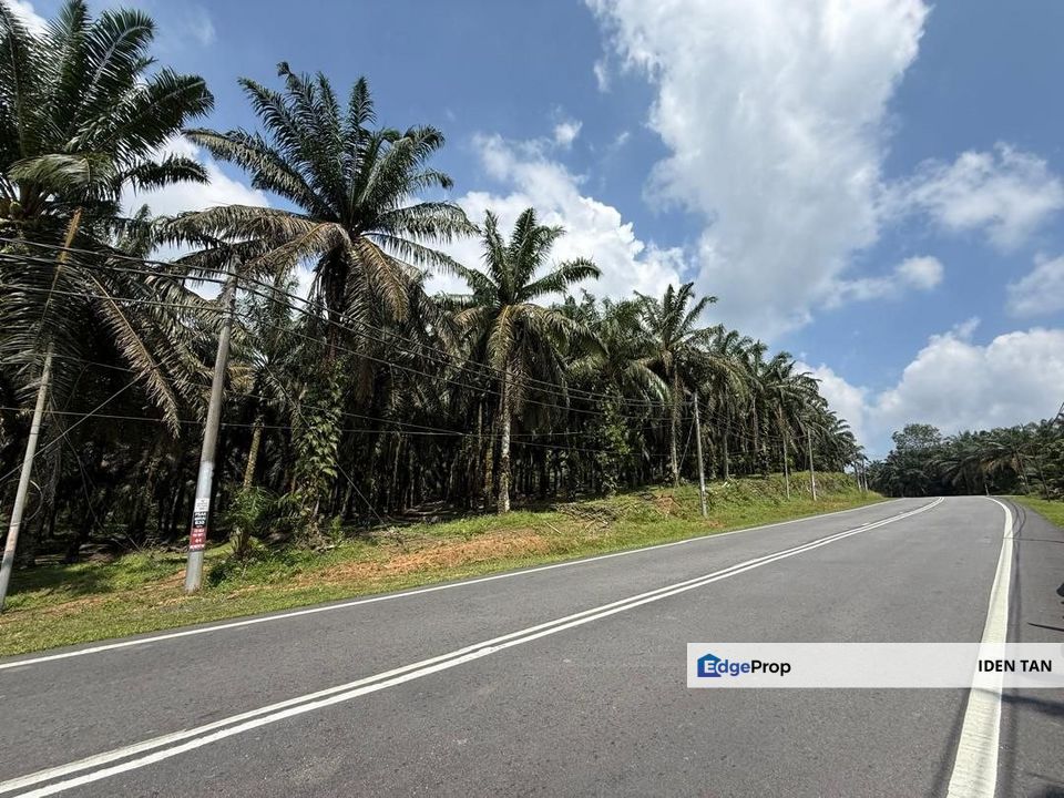 Kota Tinggi Tanjung Sedili Agricultural Land For Sale Near Sedili Besar, Kota Tinggi, Mawai, Kampung Singapura, Kampung Padang, Johor, Kota Tinggi