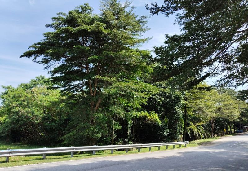 Taman Mutiara Subang