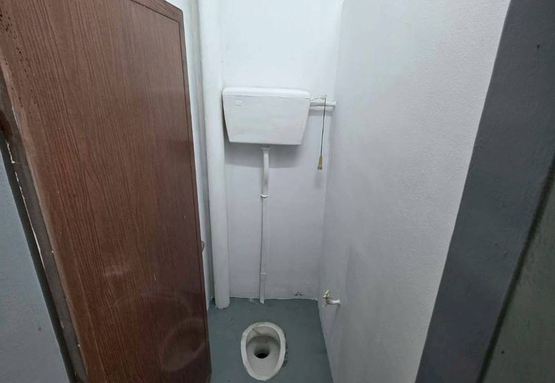 Taman Utama, Pekan Nanas