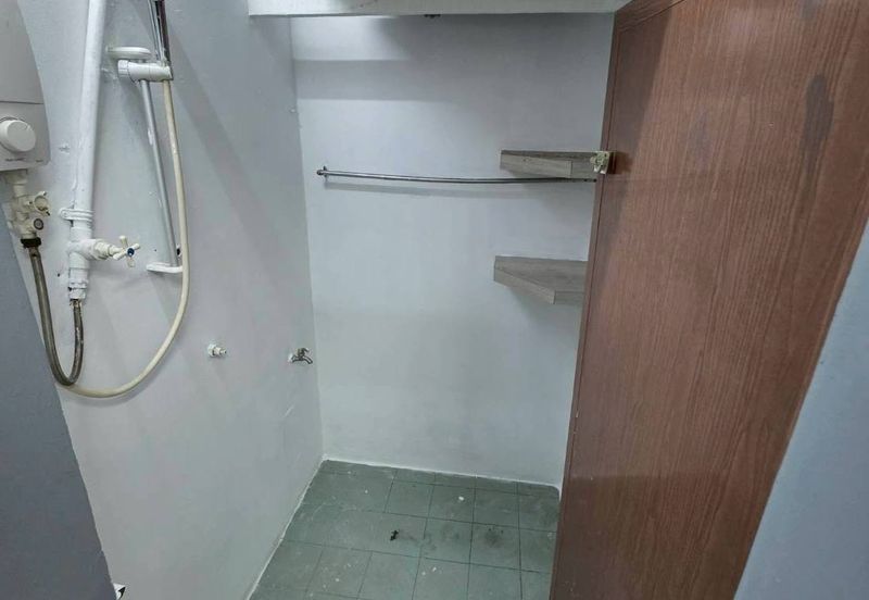 Taman Utama, Pekan Nanas