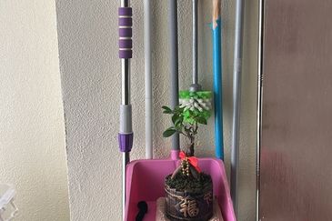 Royal Strand @ Country Garden Danga Bay