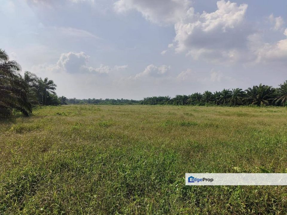 Agriculture Land with Zoning Residential For Sales, 5 min Away from Simpang Renggam toll, Johor, Kluang