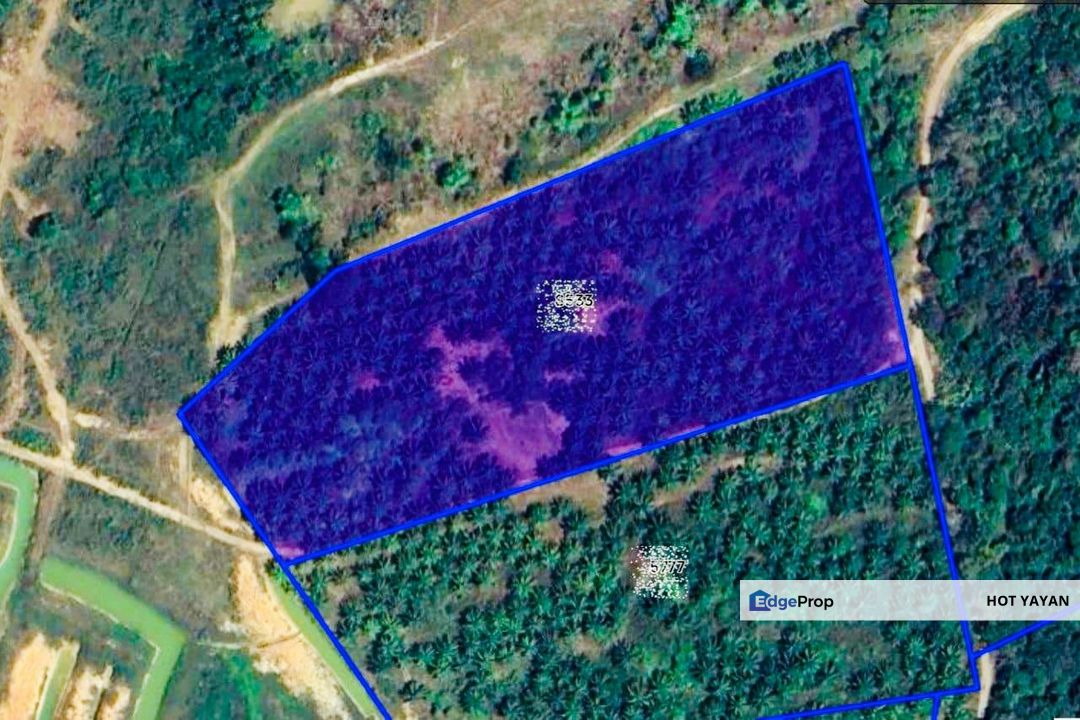 Agriculture Land (Kelapa Sawit) For Sale at Belara, Kuala Terengganu Freehold 7.057 acre, Terengganu, Kuala Terengganu