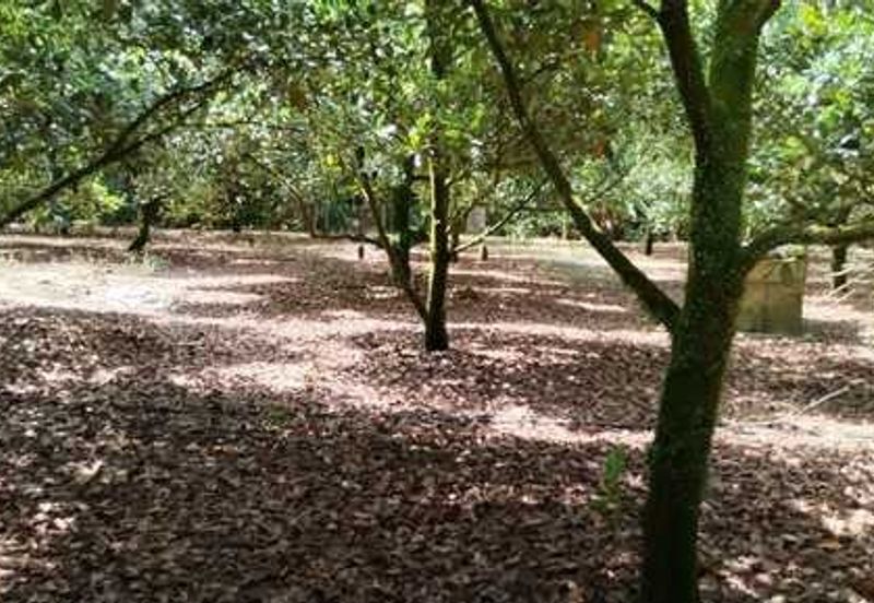 FLAT AGRI LAND FOR HYPERMARKE  IN RESIDENTIAL ZONE| FREEHOLD