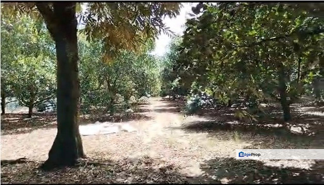 11 acres Mixed Development zoning Land|Mantin| Negeri Sembilan, Negeri Sembilan, Mantin