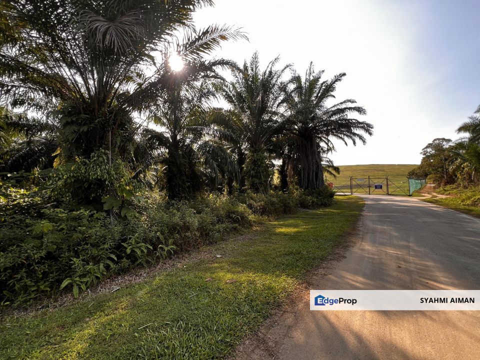 Kg Salak Tinggi, Sepang Selangor, 2.18 Acres Agriculture Land For Sale, Selangor, Sepang