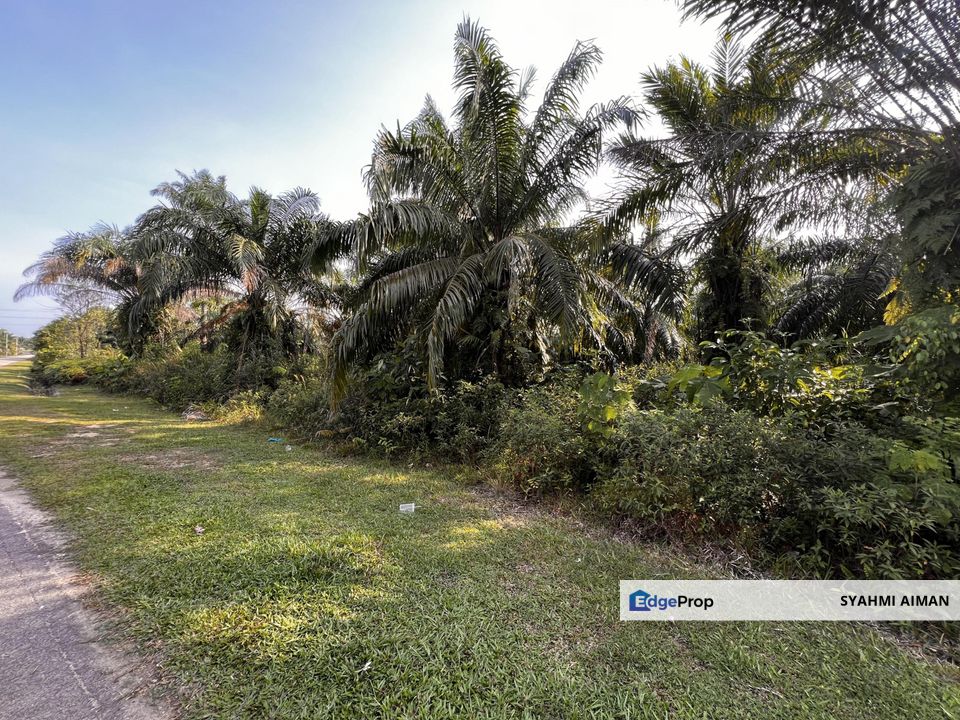 Kg Salak Tinggi, Sepang Selangor, 2.18 Acres Agriculture Land For Sale, Selangor, Sepang