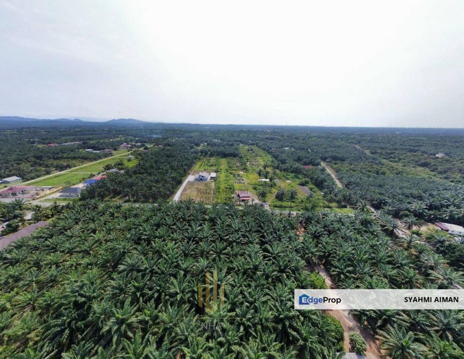Kg Tanjong Mas, Sungai Pelek, Sepang Selangor, 1 Acre Agriculture Land Lot at Jalan Surau For Sale, Selangor, Sepang