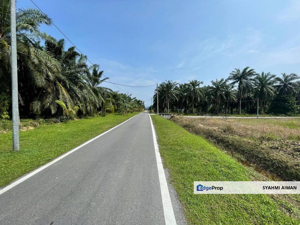 Kg Tanjong Mas, Sungai Pelek, Sepang Selangor, 1 Acre Agriculture Land Lot at Jalan Surau For Sale, Selangor, Sepang
