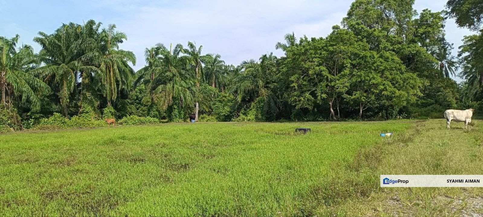 Sungai Pelek, Sepang Selangor, 5000 sqft Bungalow Land Lot For Sale, Selangor, Sepang