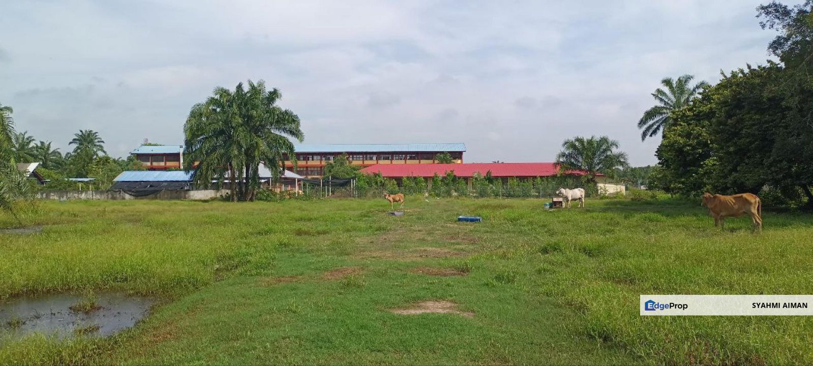 Sungai Pelek, Sepang Selangor, 5000 sqft Bungalow Land Lot For Sale, Selangor, Sepang