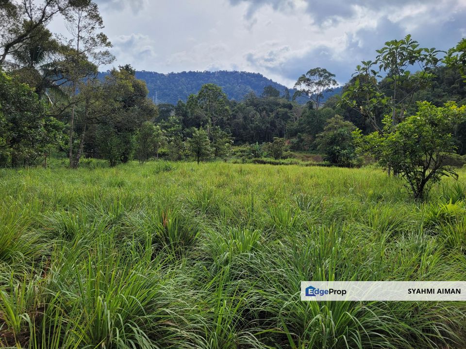 Hulu Langat Selangor, 2.53 Acres Agriculture Land Lot at Sg Congkak For Sale, Selangor, Hulu Langat