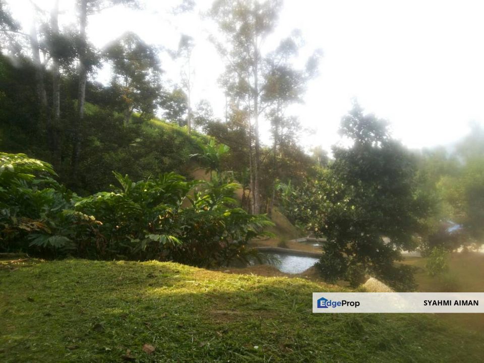 Hulu Langat Selangor, 1- Acres Agriculture Land Lot at Blok 79 Batu 20 For Sale, Selangor, Hulu Langat