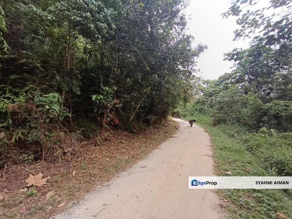 Hulu Langat Selangor, 5.30 Acres Agriculture Land Lot at Sungai Lui For Sale, Selangor, Hulu Langat