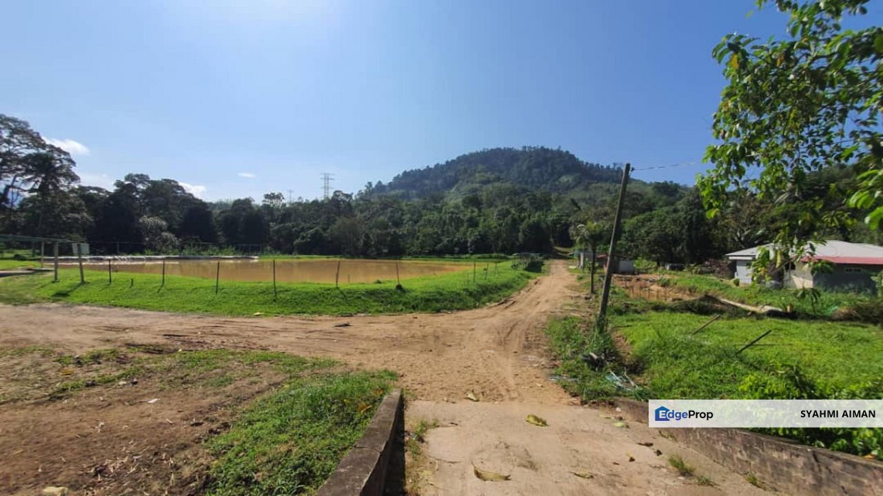 Hulu Langat Selangor, 3656 sqft Agriculture Land Lot at Sungai Lui For Sale, Selangor, Hulu Langat