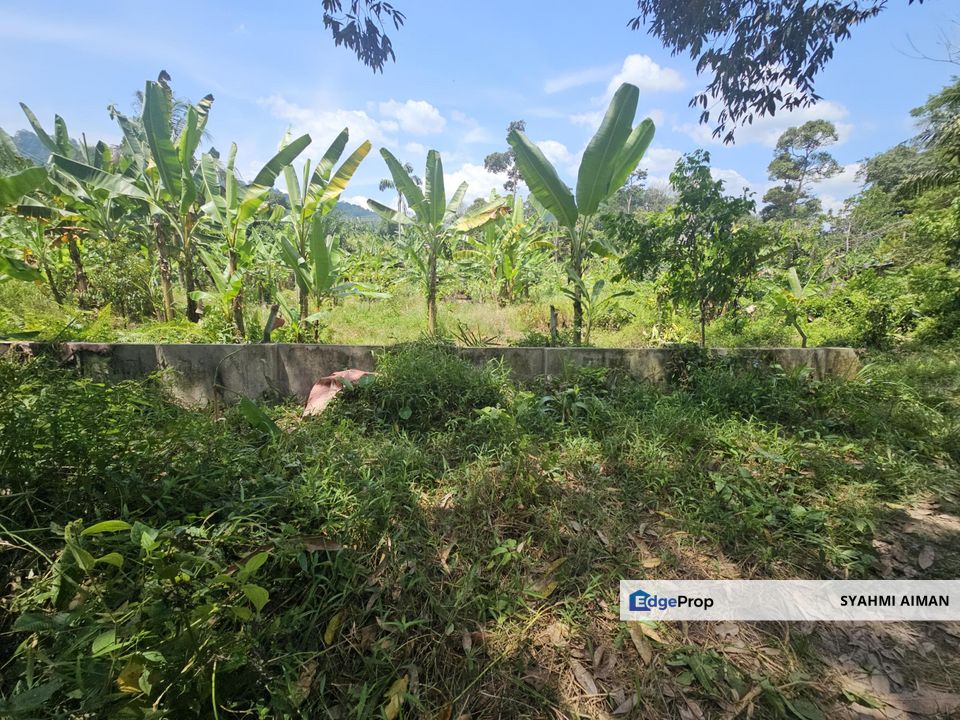 Hulu Langat Selangor, 8 Acres Agriculture Land Lot at Sungai Lui For Sale, Selangor, Hulu Langat