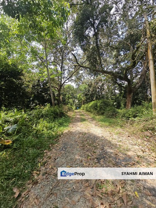Hulu Langat Selangor, 8 Acres Agriculture Land Lot at Sungai Lui For Sale, Selangor, Hulu Langat