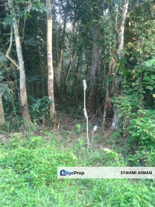 Hulu Langat Selangor, 1.27 Acres Agriculture Land Lot at Sg Sekamat For Sale, Selangor, Hulu Langat