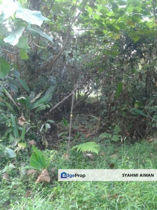 Hulu Langat Selangor, 1.27 Acres Agriculture Land Lot at Sg Sekamat For Sale, Selangor, Hulu Langat