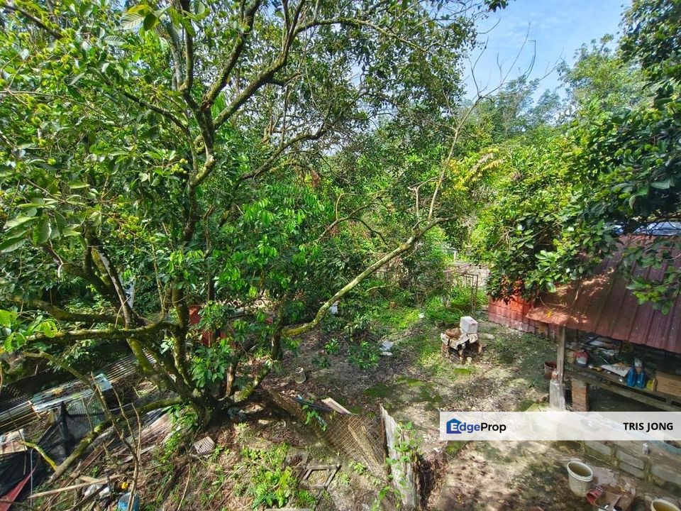 Kuala Kubu Baru Agriculture Land For Sale, Selangor, Hulu Selangor