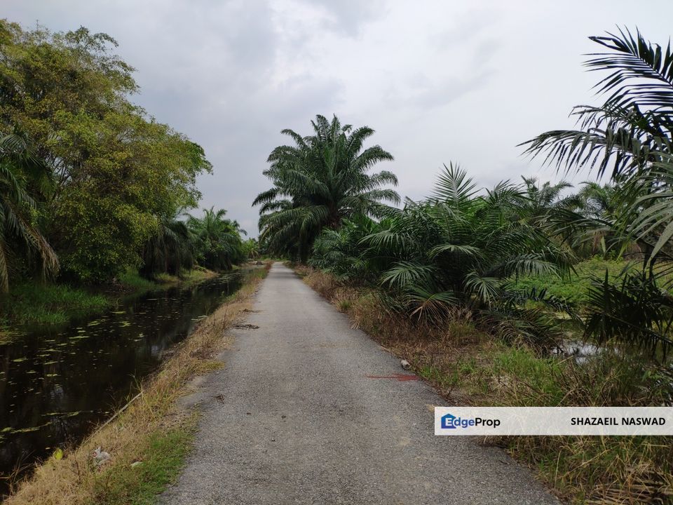 Tanah pertanian 1.6 ekar di Bagan Terap, Sungai Besar, Sungai Panjang, Sabak Bernam, Selangor, Sungai Besar