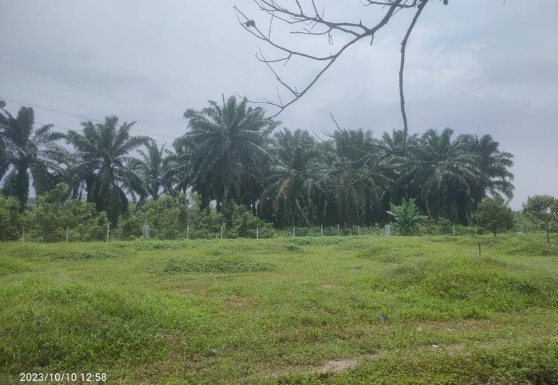Bandar Baru Salak Tinggi