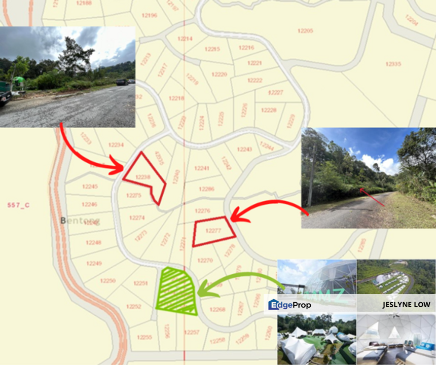 Genting View, Genting Permai Freehold Bungalow Land , Pahang, Genting Highlands