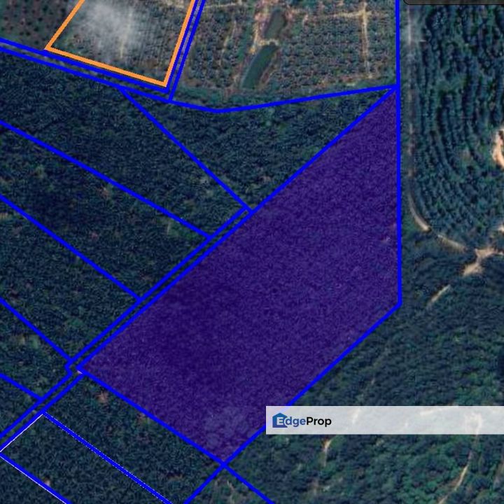 Melaka Alor Gajah Machap RM1.38/sqft Agricultural Land Below Bank Value, Melaka, 