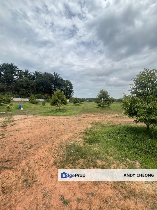 KULAI DURIAN FARM 65000SFT LAND FOR SALE AGRICULTURE LAND , Johor, Kulai
