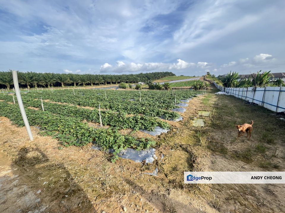 ✅SEELONG INDUSTRIAL LAND FOR SALE✅, Johor, Kulai