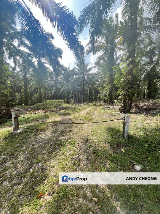 ✅10ACRE SENAI LAND FOR SALE JOHOR BAHRU✅, Johor, Senai
