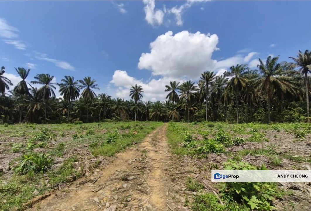 ✅Seelong Industrial Land converted medium industry land, Johor, Senai