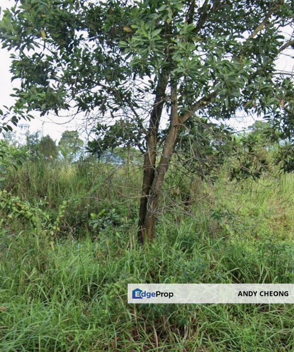 🔥EXCLUSIVE COMMERCIAL LAND FOR SALE NEARBY PARADIGM MALL INVESTMENT LAND🔥, Johor, Johor Bahru