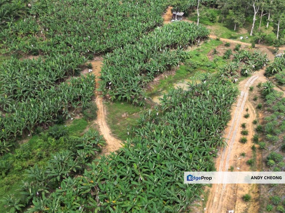 Kota Tinggi Residential Land Zoning For Sale, Johor, Kota Tinggi