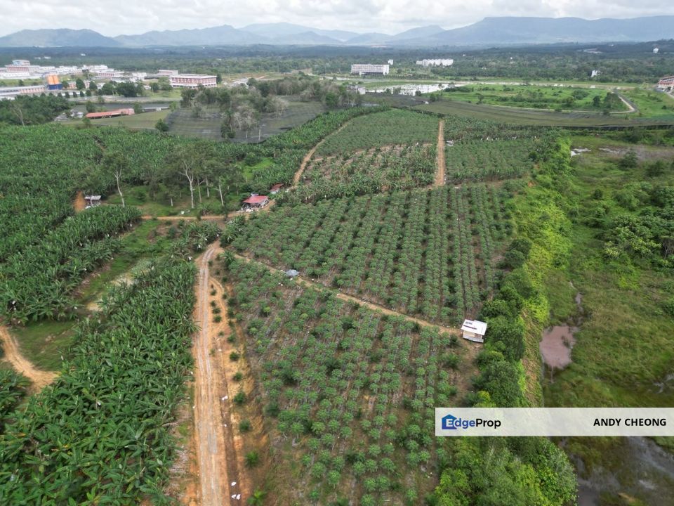 Kota Tinggi Residential Land Zoning For Sale, Johor, Kota Tinggi