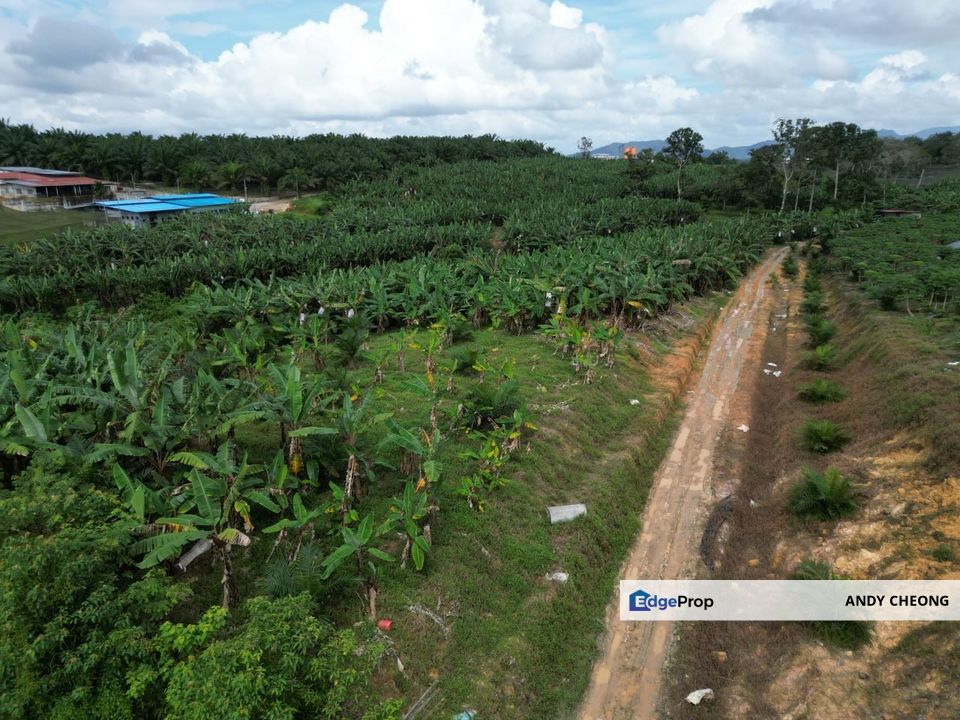 Kota Tinggi Residential Land Zoning For Sale, Johor, Kota Tinggi