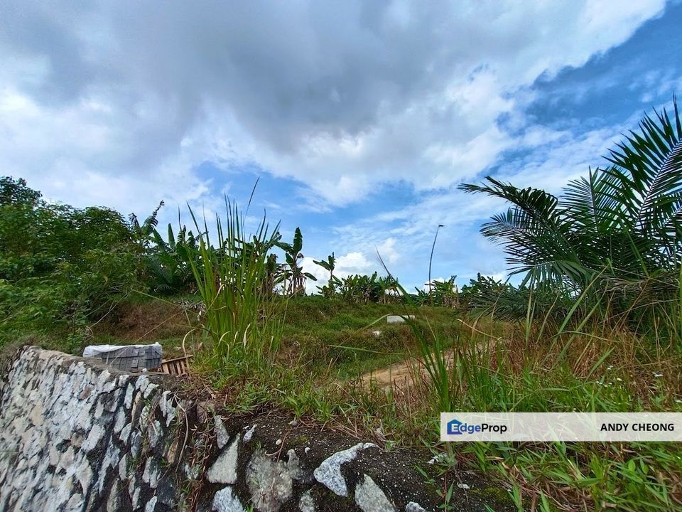 Kota Tinggi Residential Land Zoning For Sale, Johor, Kota Tinggi