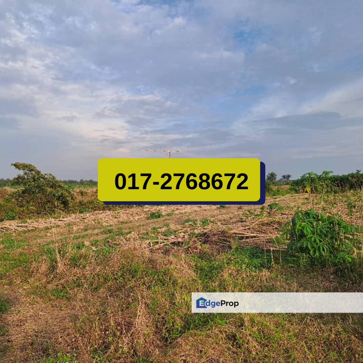 Land Kuala Langat, Banting 118.239 Acres International Lot For Sale – Selangor, Selangor, Banting