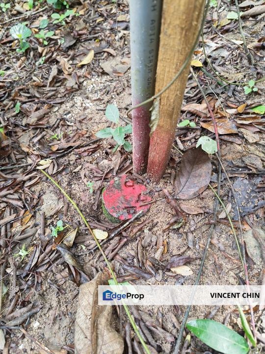 Menglembu Bungalow Land, Below Bank Value 30%, Perak, Kinta