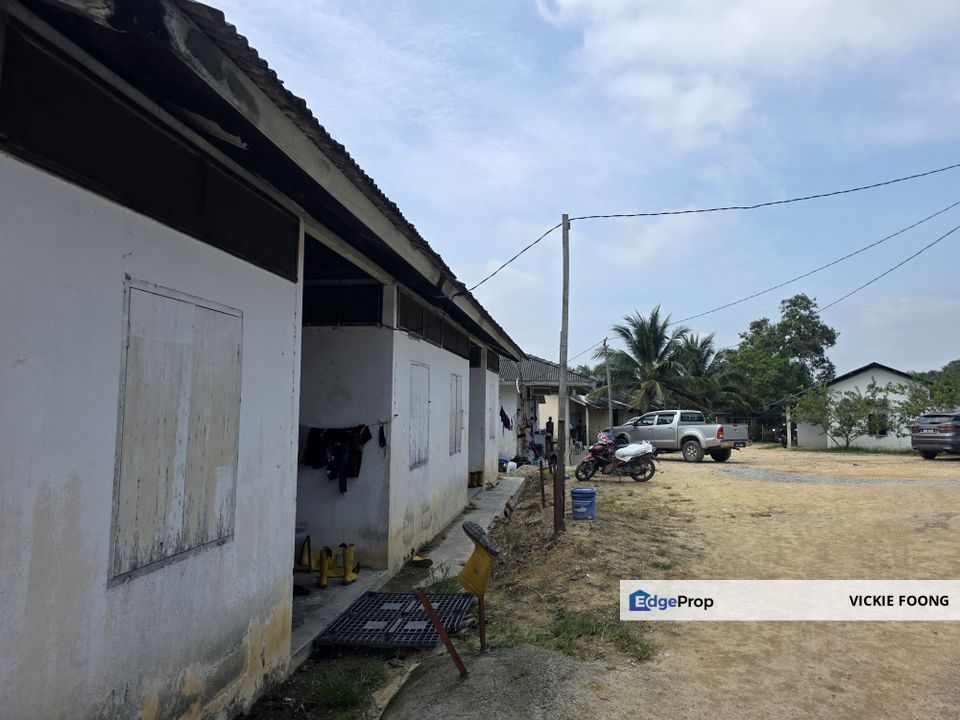DURIAN FARM BESIDE MAIN ROAD, Melaka, Jasin