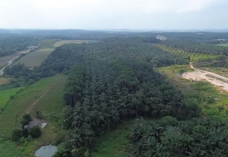 Kawasan Perindustrian Seelong