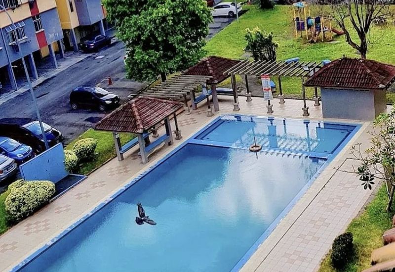 Rose Villa Apartment