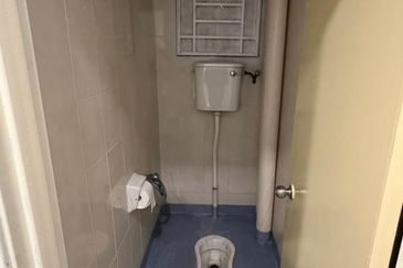 Bandar Botanic Klang