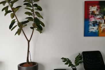 Garinia Elmina Gardens