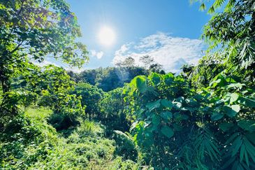 Hulu Langat Sungai Lui Tanah Untuk Dijual
