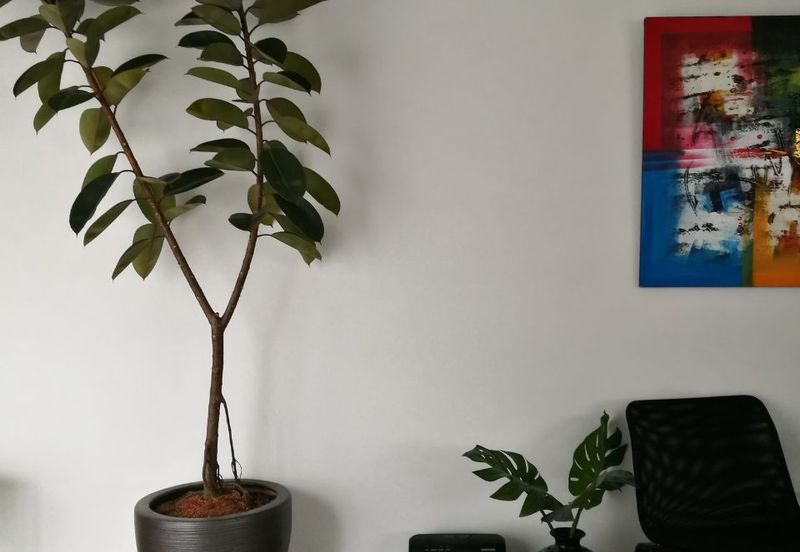 Garinia Elmina Gardens