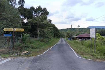 Sungai Pelepah